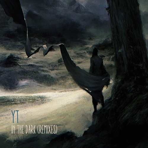YT - In the Dark (Remixes) [FIGURALIM029]